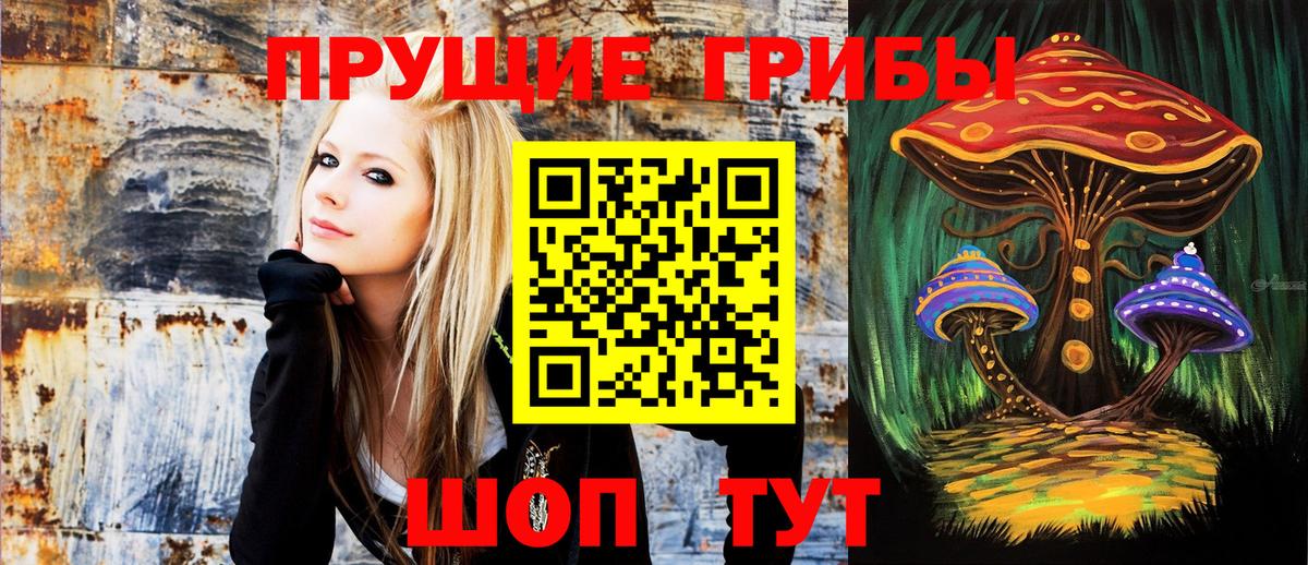 Псилоцибиновые грибы Psilocybine cubensis  Вход с VPN  Набережные Челны  Псилоцибиновые грибы GOLDEN TEACHER 