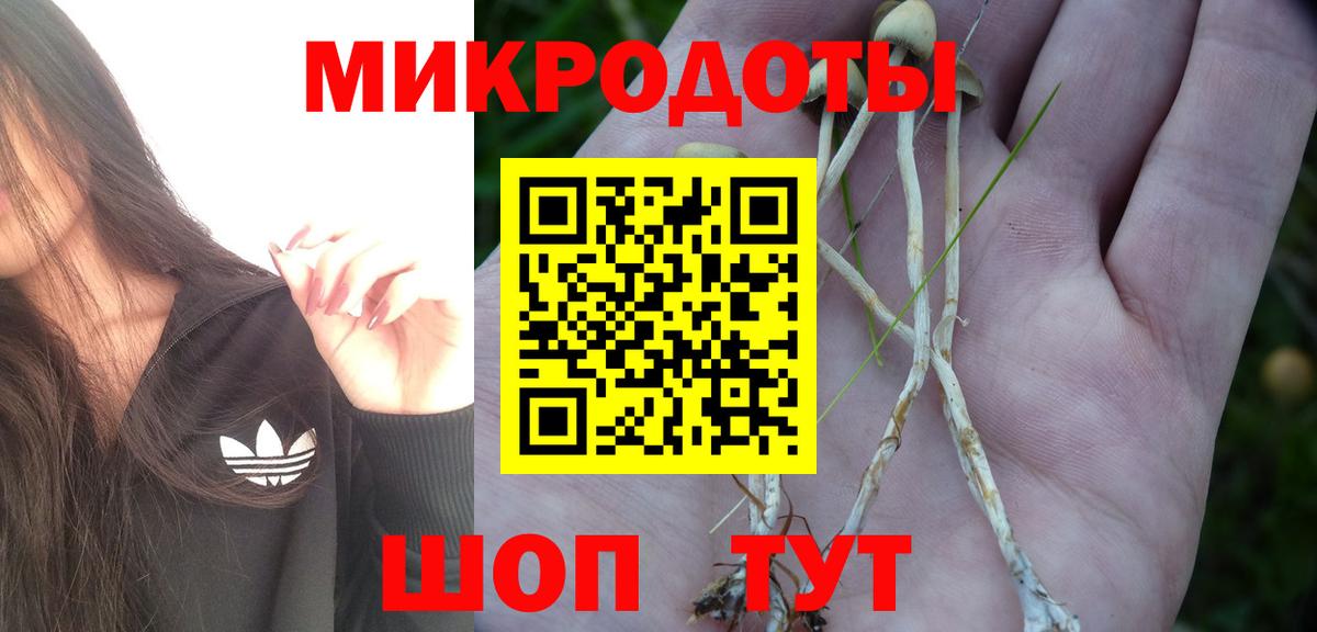 Галлюциногенные грибы Cubensis Набережные Челны